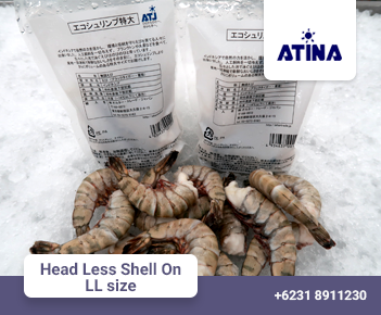 Head Less Shell On LL size